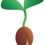 نهال