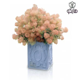 درختچه پر گل پر درخت دودی سماق زینتی