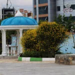 یاس طاووسی - Image 2